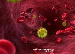 Đã xác nhận chữa khỏi HIV cho một bệnh nhân người Anh