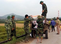 Dân Quảng Ninh chằng nhà, gặt lúa chạy đua với bão