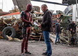 Đạo diễn &#8216;Deadpool&#8217; nảy sinh bất đồng với Ryan Reynolds