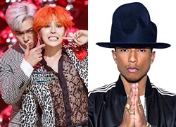 G-Dragon và T.O.P (Big Bang) hợp tác với ông hoàng hip-hop Mỹ Pharrell Williams