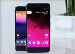 Google ra mắt Pixel và Pixel XL: Giống iPhone, camera tốt