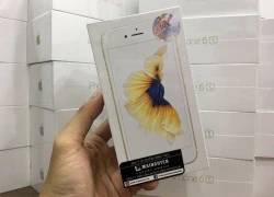 iPhone 6S 32 GB bất ngờ lên kệ ở VN với giá 16,5 triệu