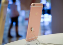 iPhone 6s giảm giá hàng triệu đồng vì iPhone 7