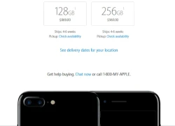 iPhone 7 Plus Jet Black vẫn bị khan hàng