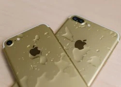 iPhone 8 có ba phiên bản, thân bọc kính