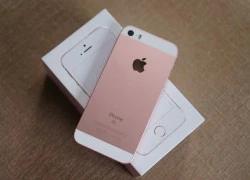 iPhone SE giảm giá 2-3 triệu đồng