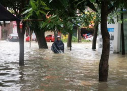 Nghệ An chìm trong biển nước, dân bỏ nhà chạy lũ