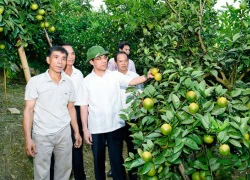 Nhà khoa học chân đất xứ Tuyên "ép đá nở hoa"