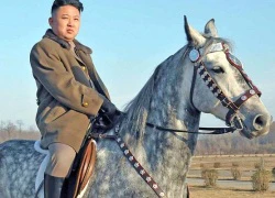 Nhà lãnh đạo Triều Tiên Kim Jong-un vắng mặt bất thường