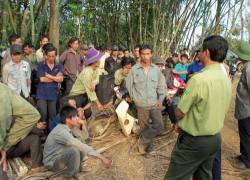 Nóng bỏng "cuộc chiến" đất rừng