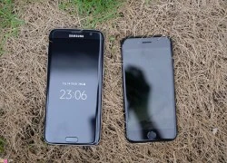 Phiên bản màu đen của Galaxy S7 edge và iPhone 7 đọ dáng