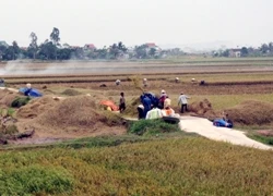 Phó Thủ tướng trực tiếp chỉ đạo phòng chống bão tại Hải Phòng, Quảng Ninh