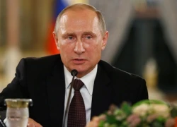 Putin hoãn thăm Paris vì Pháp chỉ muốn bàn về Syria