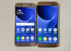 Samsung tăng sản lượng Galaxy S7/S7 edge sau sự cố Note 7