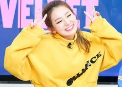 Seul Gi (Red Velvet) có một loạt fan nam là người nổi tiếng