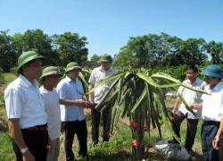 Sức lan tỏa lớn từ Chương trình "Tự hào Nông dân Việt Nam"