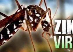 Thêm 2 người Việt Nam nhiễm Zika tại TP. Hồ Chí Minh