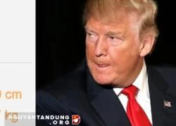 Trump có thắng nếu đấu tay đôi với phó tướng của Obama sau phòng tập?