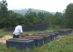 Vụ hàng ngàn ngôi mộ bị đóng đinh: Hé lộ manh mối