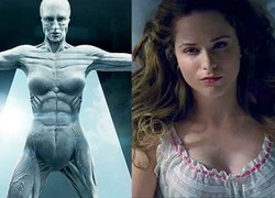 'Westworld' - loạt phim 18+ gây ám ảnh về robot tình dục