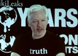 WikiLeaks dọa công bố tài liệu liên quan đến bầu cử Mỹ