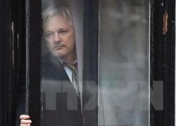 Wikileaks hủy đợt công bố thông tin nhạy cảm vì lo ngại an ninh