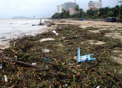 Bãi biển Nha Trang tràn ngập rác lũ