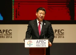 Các lãnh đạo APEC đối phó với hiệu ứng Trump ở Peru