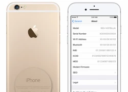 Cách kiểm tra iPhone 6S có nằm trong chương trình thay thế pin miễn phí của Apple