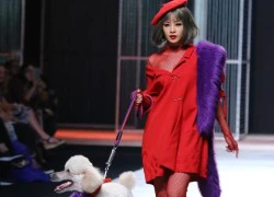 Chi Pu dắt cún cưng làm người mẫu catwalk