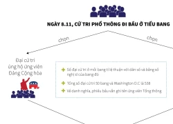 [Đồ họa] Hiểu thể thức bầu tổng thống Mỹ trong 1 phút