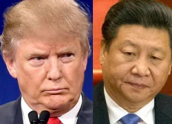 Donald Trump và Tập Cận Bình bàn gì trong cuộc điện đàm đầu tiên?