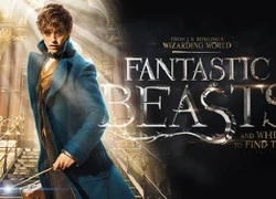 "Fantastic Beasts" đưa khán giả bồi hồi trở về những năm tháng "ăn ngủ" với Harry Potter