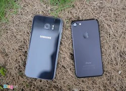 Galaxy S7 edge và iPhone 7 chuẩn bị đại chiến ở VN