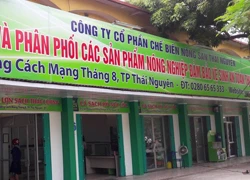 Giám đốc doanh nghiệp hành hung Trưởng, Phó đoàn kiểm tra liên ngành