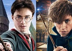 Harry Potter: 7 điểm khác biệt của thế giới phù thủy Anh và Mỹ