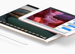 iPad màn hình không viền ra mắt vào tháng 3 năm sau?