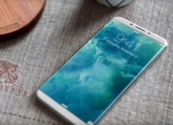 iPhone 8 sẽ có màn hình 5 và 5,8 inch