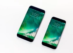 iPhone 8 và 7S cùng ra mắt vào năm sau?