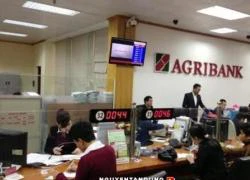 Khởi tố một nguyên Giám đốc chi nhánh Agribank