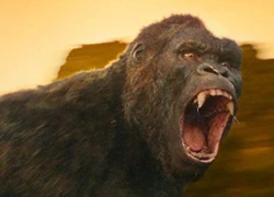 King Kong mới trong bom tấn 'Kong: Skull Island' lộ diện