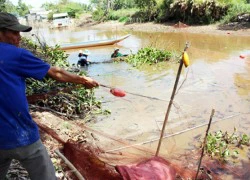 Ly kỳ chuyện nghe "cá thở" của thầy đìa ở đồng đất U Minh