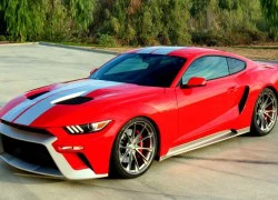 Mẫu xe lai giữa Ford GT và Mustang