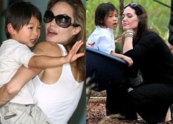 Mẹ ruột Pax Thiên muốn đòi lại con từ Angelina Jolie?