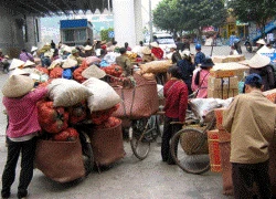 Nông sản Trung Quốc áp thuế NK 0%: Nhà nông có nguy cơ &#8220;ngạt thở&#8221;