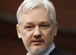 Ông chủ Wikileaks sắp bị thẩm vấn về cáo buộc cưỡng dâm