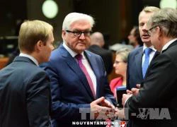 Ông Frank-Walter Steinmeier trở thành ứng cử viên Tổng thống Đức