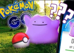 Pokemon GO: Ditto có thể đã xuất hiện trên một số bãi biển ở UAE