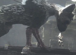 Sau 8 năm vẫn có rất nhiều người chờ đợi The Last Guardian, đó là vì game trông quá hấp dẫn