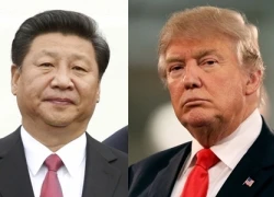 Tập Cận Bình điện đàm, đề nghị hợp tác với Donald Trump